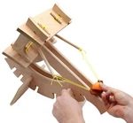 Ballista Catapult Kit - Build Your Own Stem Learning Garage Physics By Eisco. Fixed Price $111.99.