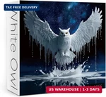 Owl For Adults 1000 Pieces, Fantasy Art Jigsaw Puzzle, Animal Galaxy Nebu. Fixed Price $17.36.
