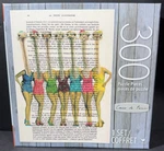 Cardinal "ostriches Vintage Bath Suites" 300 Piece Puzzle. Fixed Price $14.99.