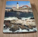 Vigil By The Sea #2 Springbok 500+ Piece Jigsaw Puzzle Complete 18X23". Fixed Price $17.00.