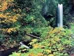 Nos Sealed Vtg Rose Art Kodacolor 2000 Pc Puzzle #16161 Multnomah Falls Oregon. Fixed Price $23.00.
