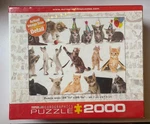 Eurographics The World Of Cats 2000 Piece Jigsaw Puzzle Made In Usa New Sealed. Fixed Price $24.95.