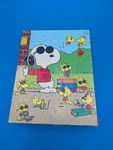Peanuts Snoopy & Friends "joe Cool" 63 Piece 1975 Golden Usa Made Jigsaw Puzzle. Fixed Price $5.00.