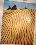 Springbok Hallmark Sand Sculpture Vintage PZL4098 500 Piece. Fixed Price $19.95.