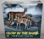 Glow The Dark Puzzle Somewhere Over Rainbow 1000 Piece New. Fixed Price $11.99.