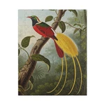 Bird Of Paradise Jigsaw Puzzle 110-PIECE Watcher Lover Indoor Fun Gift. Fixed Price $14.95.