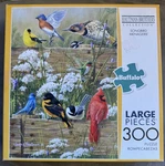 Buffalo Games Songbird Menagerie 300 Piece Puzzle Birds Complete. Fixed Price $9.99.
