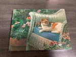Springbok Princess Of The Patio 500 Piece Jigsaw Puzzle Vintage Nos Hallmark. Fixed Price $19.95.
