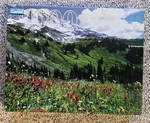 Guild 1000 Piece Puzzle Mt Rainier National Park. Fixed Price $8.00.