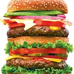 Roseart - Big Shaped Juicy Burger 500 Piece Jigsaw Puzzle For Adults. Fixed Price $25.43.