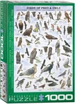 Birds Of Prey & Owls 1000 Piece Jigsaw Puzzle Eurographics New. Fixed Price $31.99.