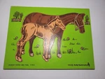 Vintage 1980 Judy Instructo Wooden Puzzle Horse & Foal #J506027. Fixed Price $23.23.