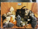 Kittens Jumbo 1723 Jigsaw Puzzle 1500 Pieces 23.5" X 35.5" Preowned. Fixed Price $16.50.