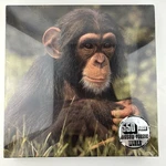 Hoyle Monkey Puzzle Where's Mom 550 Piece Jigsaw 1985 Vintage Usa New Sealed. Fixed Price $19.95.