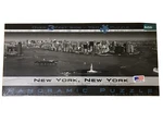 New York Aerial Panoramic Puzzle Black White 750 Pc Sealed 3 Ft Buffalo Games. Fixed Price $18.00.