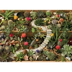 Cobble Hill Succulent Garden Jigsaw Puzzle. Fixed Price $19.99.
